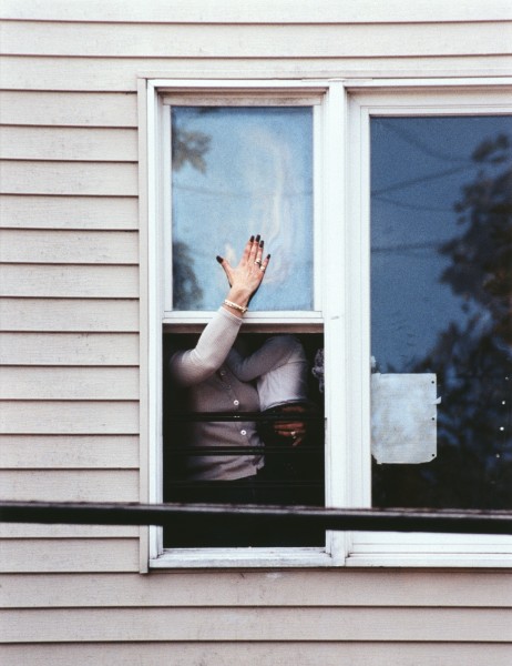 Rachel Harrison Untitled (Perth Amboy), 2001