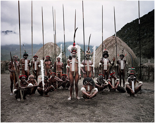 Dani Papua, Nuova Guinea